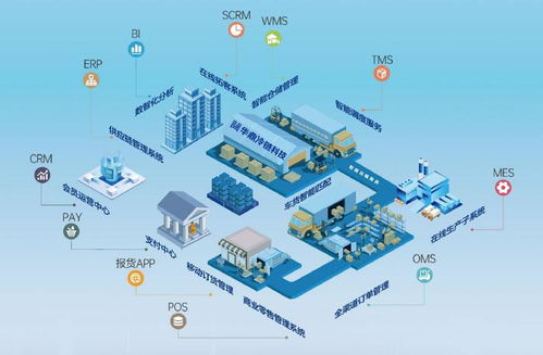 上海冷鏈物流公司競相角逐，以技術服務驅動行業多元競爭與輝煌